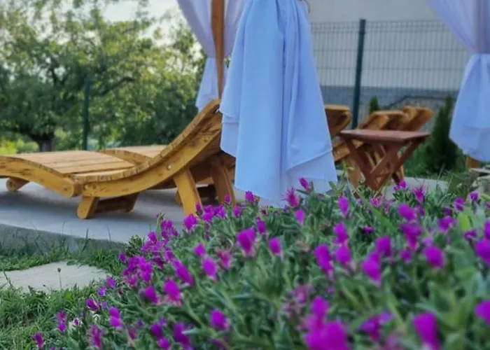 Дом отдыха Navisu Avlija *