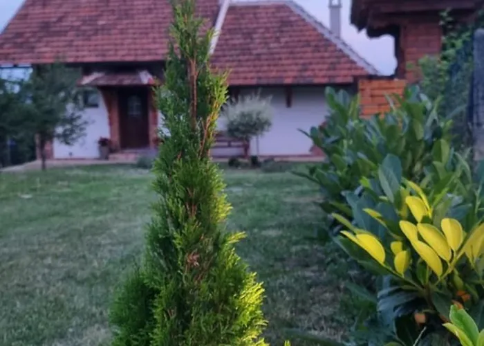 Дом отдыха Navisu Avlija